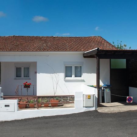 Casa Do Carvalhal - Natureza No Centro Da Cidade Guest House Санта Мария да Фейра Екстериор снимка